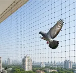 Pigeon Safety Nets in Bhubaneswar