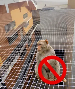 Monkey Safety Nets for Balconies in Bhubaneswar