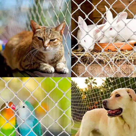 Pets Safety Nets